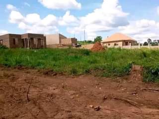 Ssentumbwe B.