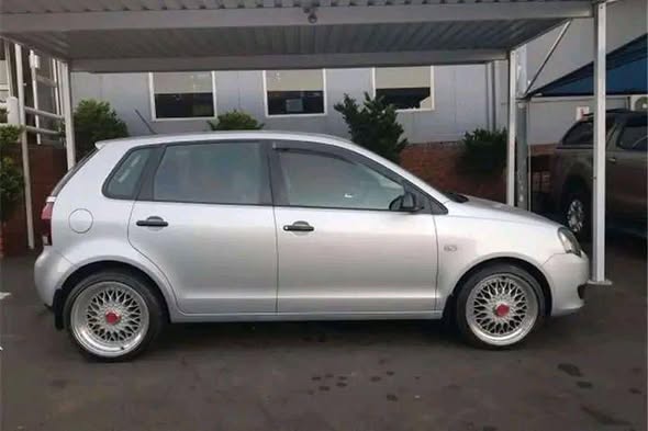 polo vivo