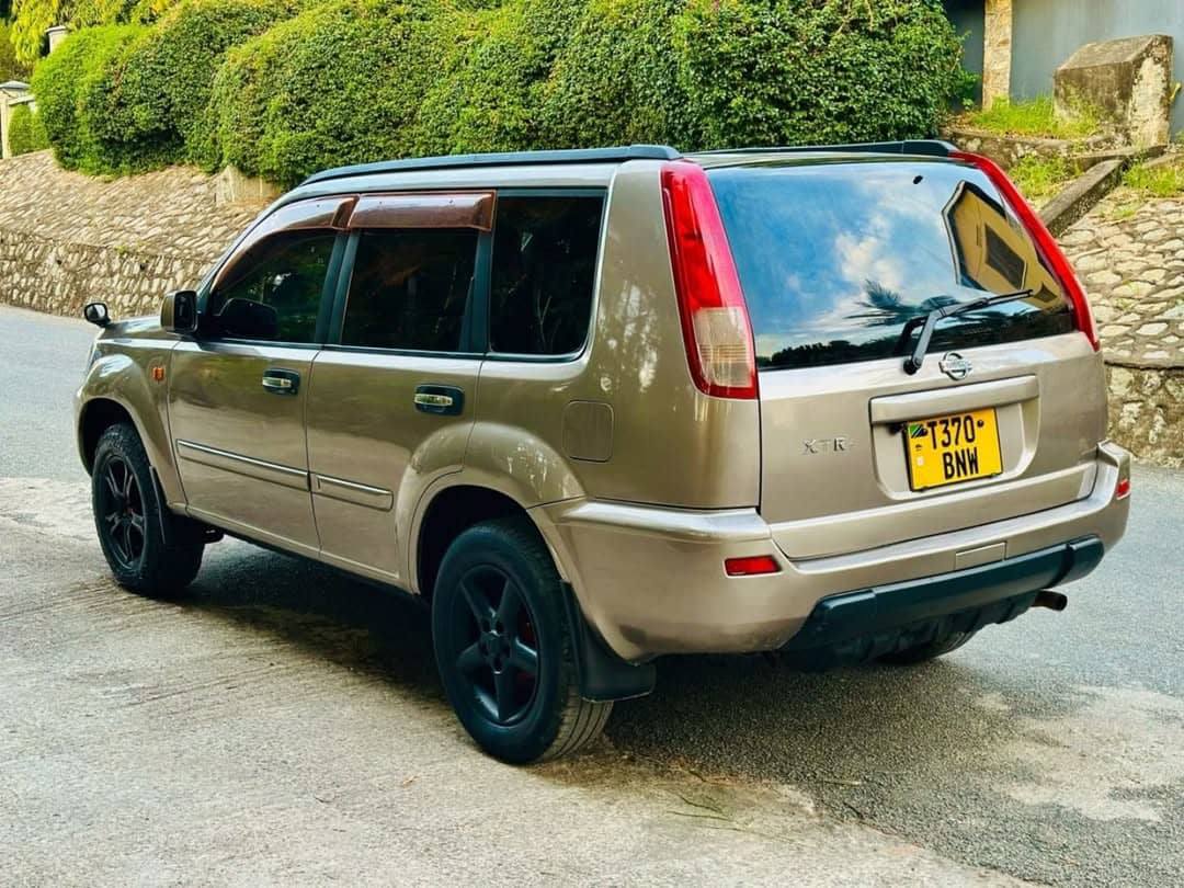 A picture of Nissan Xterra
