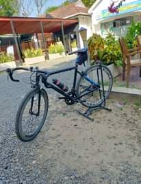 A picture of ALTON BIKE