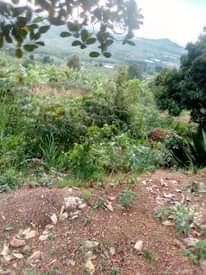 A picture of House for sale