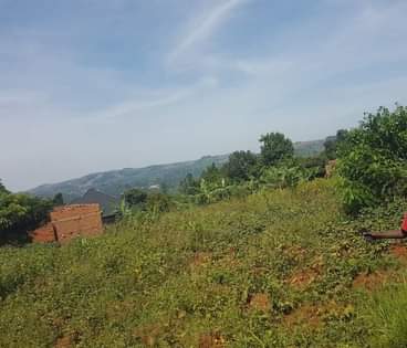 A picture of CHEAP PLOTS NSAGGU