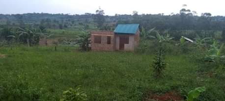 A picture of 50 100 plots at 4m Matugga Kavule 2km off Semuto