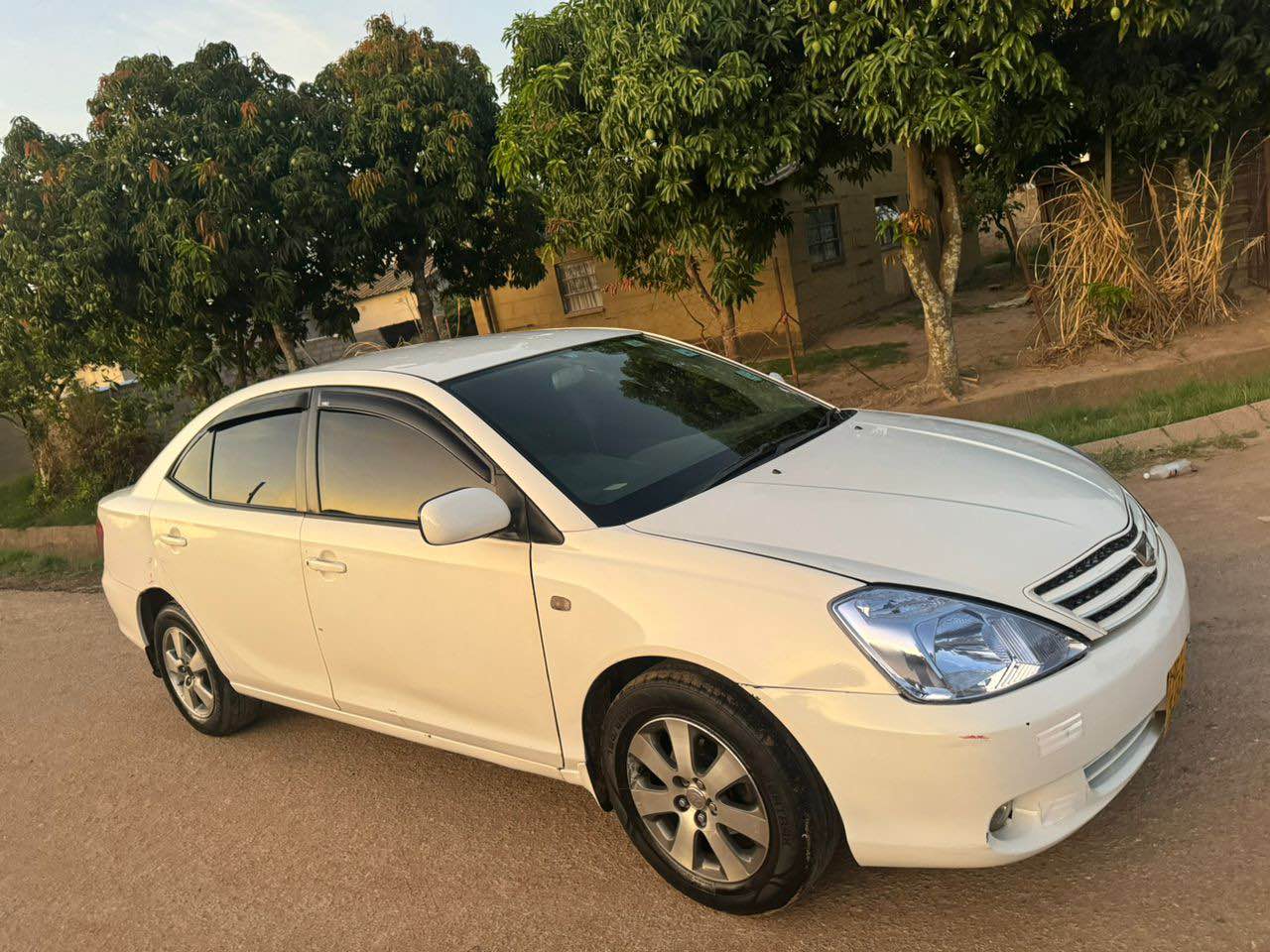 used toyota allion