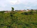 A picture of Gayaza Nalya estate plor on quick sale