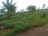 A picture of Plots