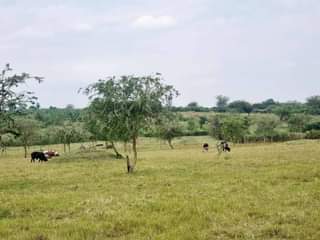 A picture of 12 acres at 260M all 0770379434