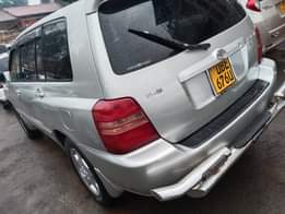A picture of Kluger At 31m 0706044260 0774245262