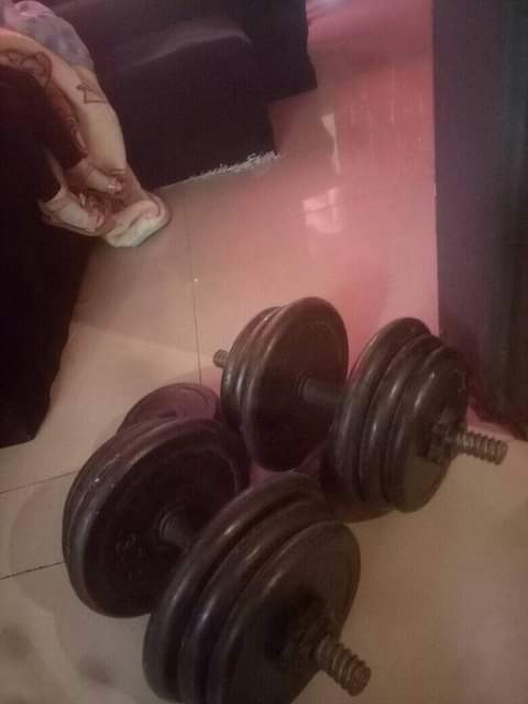 gym equipment