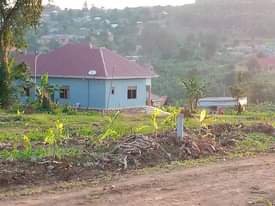 A picture of  PLOTS IN WAKISO MABOMBWE TOWN AT 40M