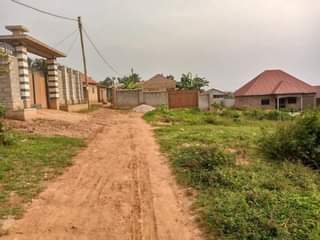 A picture of Kibanja plots for sale in Namugongo Bukerere 7M