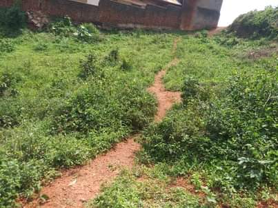 A picture of Plot for sale