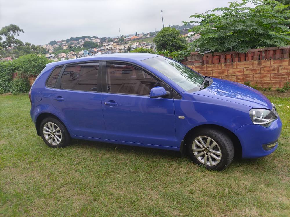 polo vivo