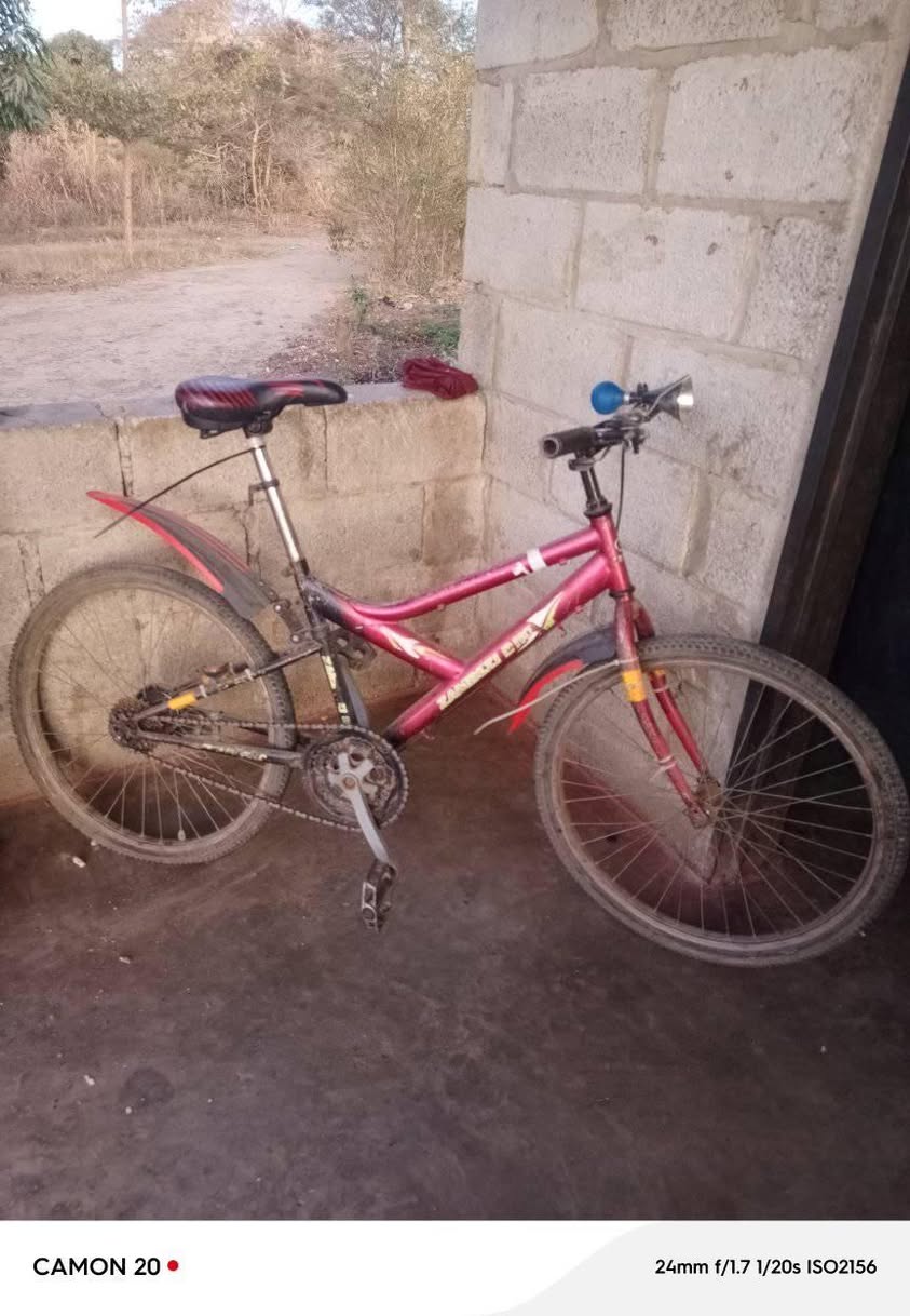 bicycle