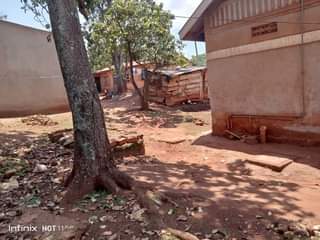 Ssentumbwe B.