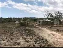 A picture of Kiwanja