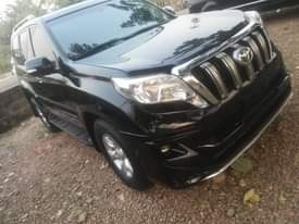 A picture of 2010 Prado 2017 2010