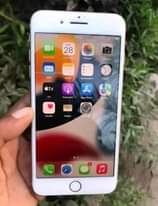 A picture of iPhone 8