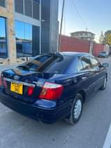 A picture of Premio new model