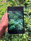 A picture of SAMSUNG TAB A 8 0