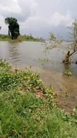 A picture of 1 acre with lake view in prime area for sale