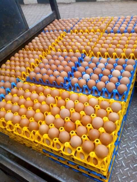 A picture of Eggs