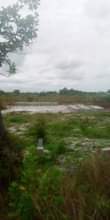 A picture of Viwanja
