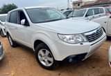 A picture of FORESTER