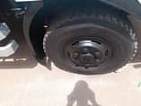 A picture of Fuso mignon