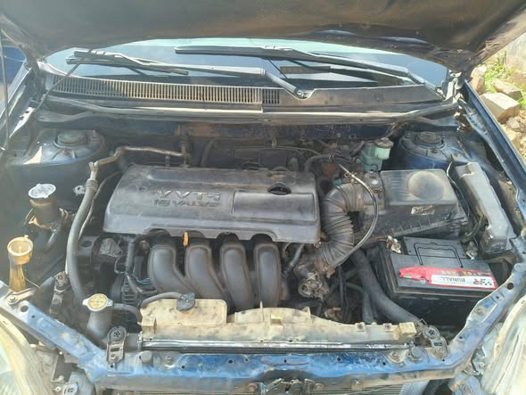 A picture of Toyota Matrix 04