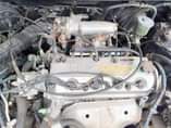 A picture of Honda Accord 1999