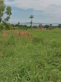 A picture of plots for sale
