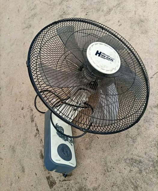 fans