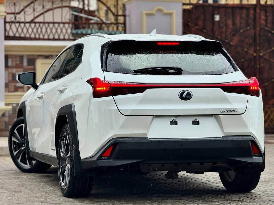 A picture of LEXUS UX