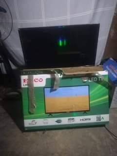 ecco