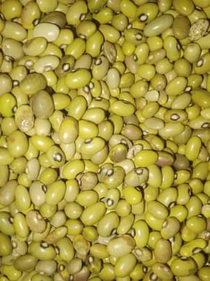 A picture of Yellow Beans