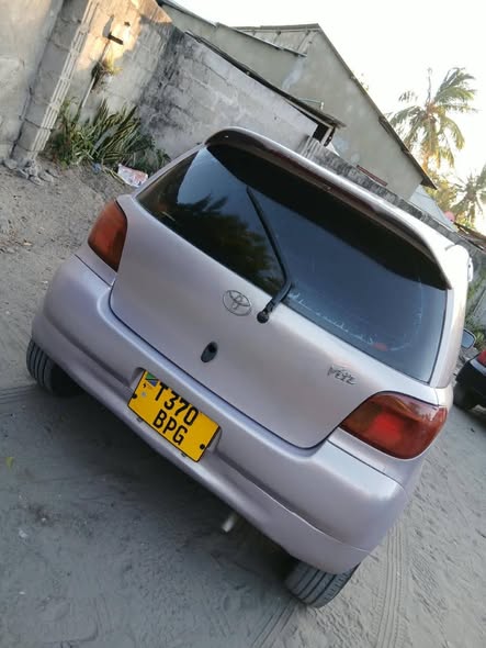 A picture of Vitz