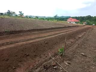 A picture of WAKISO KAKIRI TOWN KIKUJJI NADANGILA ROAD ESTATE 20M