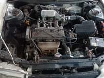 Imran H.