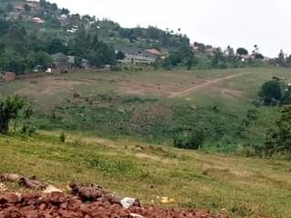 A picture of PRIME PLOTS FOR SALE LOCATED WAKISO NAMUSERA