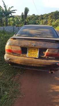A picture of 1997 Toyata TOYOTA COROLLA Single light