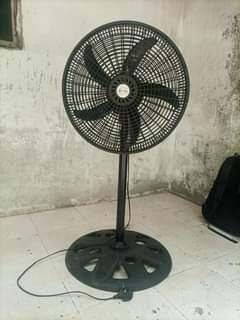 A picture of Feni alyons