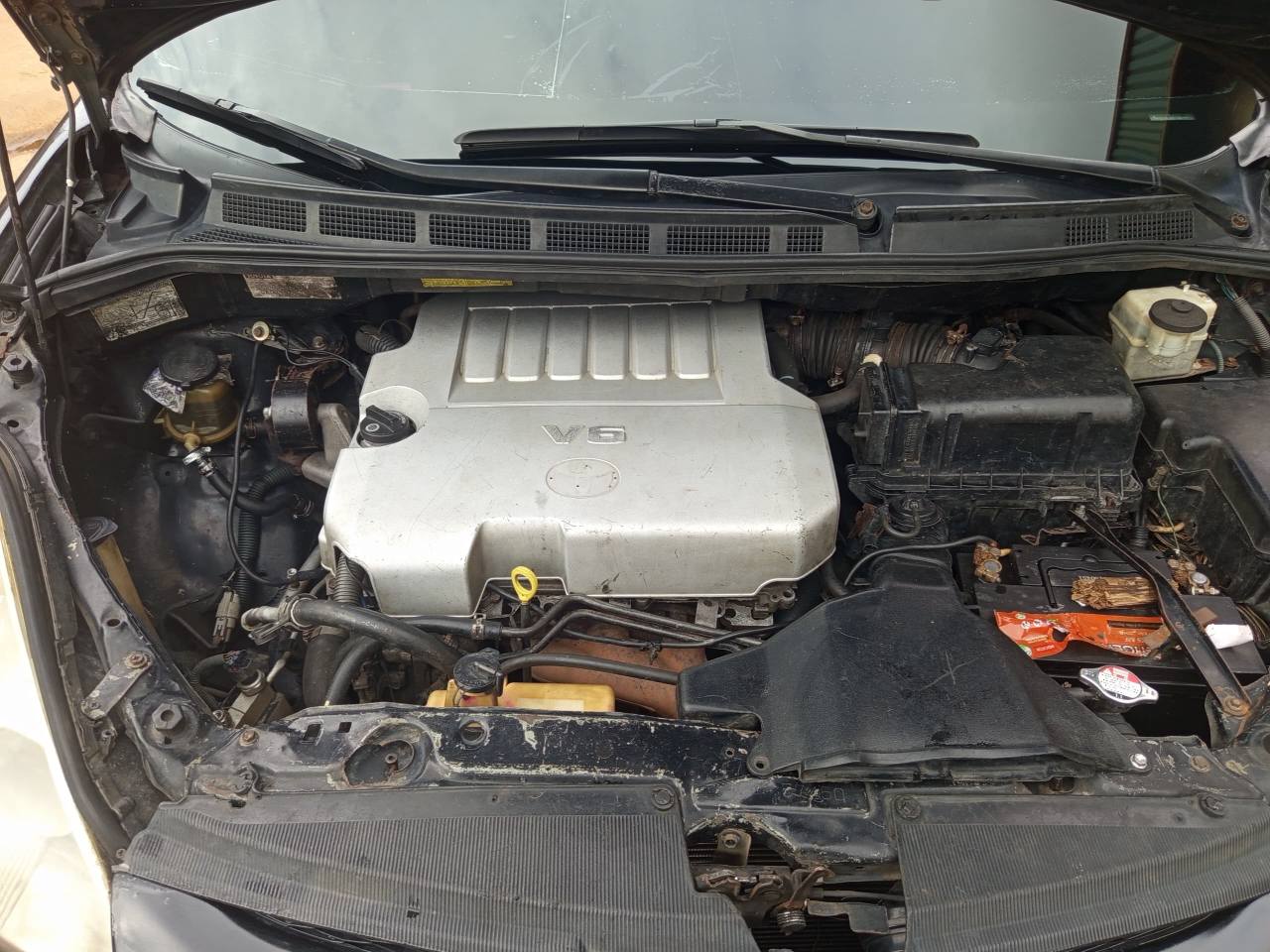 A picture of Toyota sienna 2009