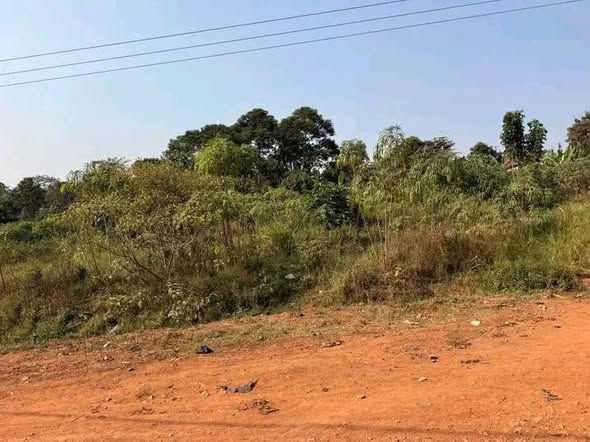 A picture of Quick sale land Bweyogere kiwanga on 25decimals at125M 0703347279