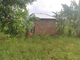 Ssentumbwe B.