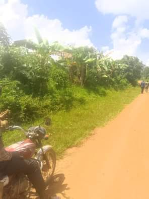A picture of 13 acres of land for sale at kilolo kabale branch