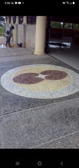 Cheno A.
