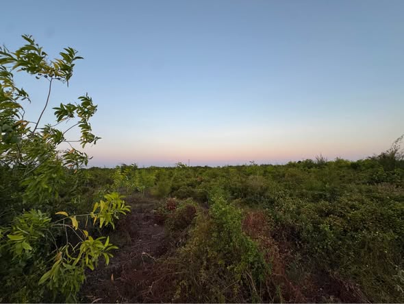 A picture of PREMIUM DEVELOPMENT LAND FOR SALE IN JAMBIANI ZANZIBAR