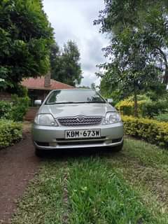 Kwevo B.