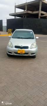 A picture of Vitz